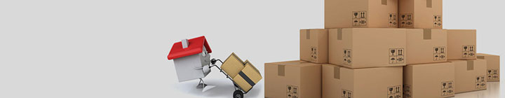 Maan Logistic packers and movers